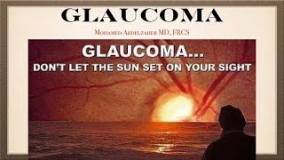 Glaucoma Anatomy [upl. by Belayneh963]