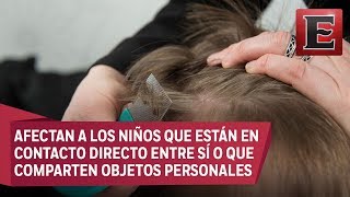 Salud y Bienestar La Pediculosis Piojos en la cabeza [upl. by Bernstein56]