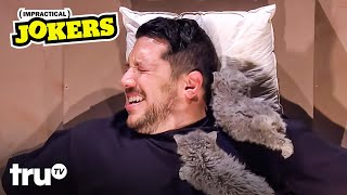 Funniest Animal Moments Mashup  Impractical Jokers  truTV [upl. by Eeslehc]