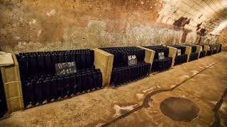 Champagne Guy Charbaut  Discover the 19thcentury wine cellars in MareuilsurAy France [upl. by Salangia]