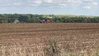 Case IH Optum 300 with Vaderstad Rapid winter drilling 2024 [upl. by Ahsertal]