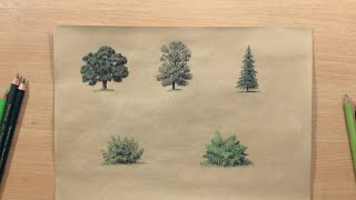 How to Draw Trees and Bushes  Landscape in Colored Pencil [upl. by Cale]