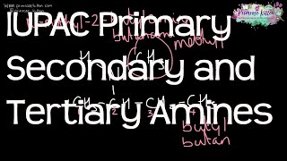 Primary Secondary and Tertiary Amines using IUPAC Systematic nomenclature  ALevel Chemistry [upl. by Ylatan]