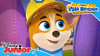 🐾 Cicho sza pieski  Psia Brygada  Disney Junior Polska [upl. by Ainesell]