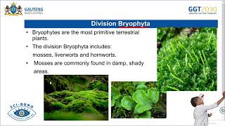 Biodiversity of plants  Grade 11 [upl. by Ornas]