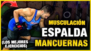 🔴 Los Mejores Ejercicios MANCUERNAS ESPALDA  GUIA MUSCULACION ESPALDA CON MANCUERNAS [upl. by Imailiv]