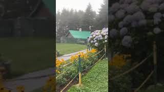 Kalatop sanctuary Forest Rest House GardenMust visit place in Dalhousie [upl. by Nnorahs]