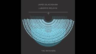 James Blackshaw amp Lubomyr Melnyk  Venant [upl. by Leumek]