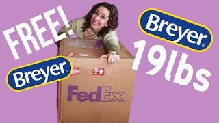 UNBOXING 19lbs of FREE Breyer Model Horses [upl. by Glendon]