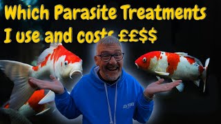 KOI PONDPARASITE TREATMENTS AND HOW I USE THEM🤔POND TEMPSKOI FISH PRICES BUT CAN I TELL YOU😮😉 [upl. by Sone871]