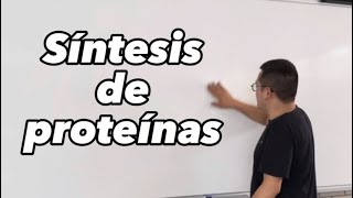 Síntesis de proteínas y como inhibirlos con antibióticos [upl. by Nohtahoj]