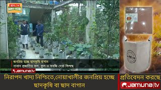 নিরাপদ খাদ্য নিশ্চিতে নোয়াখালীতে জনপ্রিয় হচ্ছে ছাদকৃষি  Rooftop Gardening [upl. by Demha]