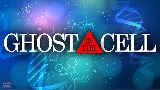 The Ghost Viruses Hiding In Your DNA [upl. by Ingemar]