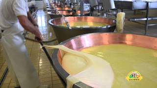 Ciclo produttivo del Parmigiano Reggiano [upl. by Solon]