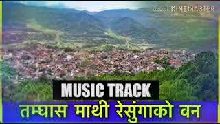 Nepali Lok Music Track Tamghas Mathi Resungako Ban Old song [upl. by Gothurd250]