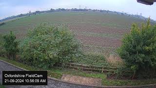 LIVE Oxfordshire FieldCam  Live Streaming from Oxfordshire UK [upl. by Einej]