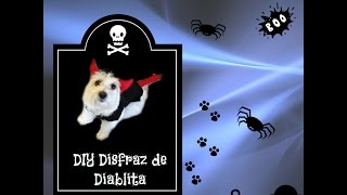 DIY Halloween Diablo para PerrosHalloween Dog costume coton de tulear I Lorentix [upl. by Eentrok]