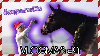 VLOGMAS 19 amp 20  ZIMOWA SESJA Z DILĄ  ŚWIĄTECZNY KOŃ [upl. by Waylin290]