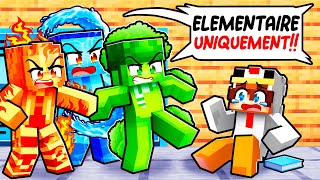 INTÉGRER une École Réservée aux ÉLÉMENTAIRES sur Minecraft [upl. by Noicnecsa]