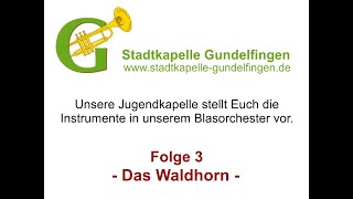 Das Waldhorn  Instrumentenvorstellung Folge 3 [upl. by Joappa]