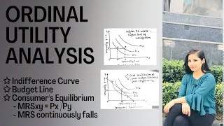 Utility Theory  Total Marginal and Average Utility [upl. by Clough934]