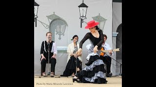 Garrotín Solo at the 2015 Victoria Flamenco Festival [upl. by Inaboy]