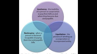 DIFFERENCE BETWEEN BANKRUPTCY INSOLVENCY AND LIQUIDATION [upl. by Marget263]