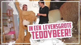 In een LEVENSGROTE TEDDYBEER [upl. by Aleafar624]