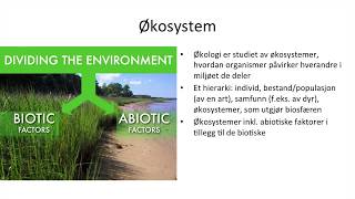 Naturfag  Økologi økosystemer og bærekraftig utvikling [upl. by Arnaud]