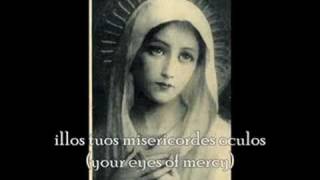 Salve Regina Hail Holy Queen [upl. by Calendra]