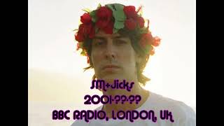 Stephen Malkmus amp The Jicks BBC RADIO 2001 FM AUDIO [upl. by Melisa]