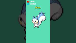 Shiny Stories  The Little Pachirisu That Could jaeaik pachirisu pokemon shinypokemon [upl. by Winther765]