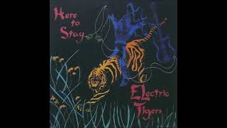 Electric Tigers  Here To Stay 1987 FULL ALBUM  Jazz Fusion [upl. by Yuri]