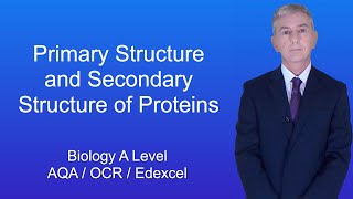 A Level Biology Revision Protein Synthesis 2 [upl. by Licko]