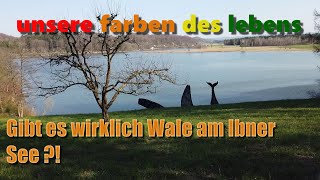 Holzöstersee Wohnmobil Outtakes vanlife camping Österreich lgtbi [upl. by Adnirual579]