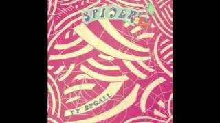 Ty Segall Cherry Red [upl. by Ytineres]