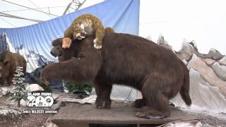 Ice Age Mammals at Blank Park Zoo Through June 10 [upl. by Oihsoy]