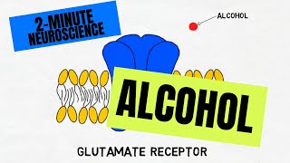 2Minute Neuroscience Alcohol [upl. by Meras215]