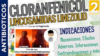 CLORANFENICOL LINCOSAMIDAS LINEZOLID ESTREPTOGRAMINAS Indicaciones Efectos Adversos Parte2 [upl. by Akemahs]