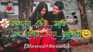 Rongdhonur Oi Shat Rong Tor Mone Rakhis  Pagla Imran  SlowedReverb  Lofi Remix  Arfin Biddut [upl. by Nyrahs489]