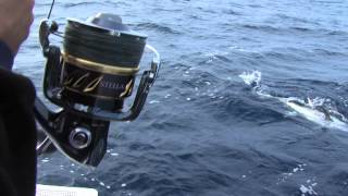 Italian Fishing TV  Shimano  Spinning Offshore Winter Tuna [upl. by Ennaimaj134]