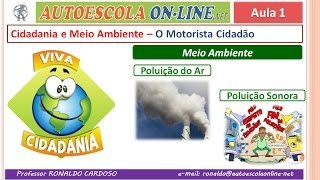 34 Meio Ambiente  Cidadão x Trânsito  Tipos de Poluentes  Tipos de Poluição [upl. by Anev]