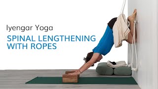 Iyengar Yoga  Spinal Decompression with Ropes [upl. by Gader]