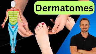 LOWER LIMB DERMATOMES  Neurological Test [upl. by Eniahpets]