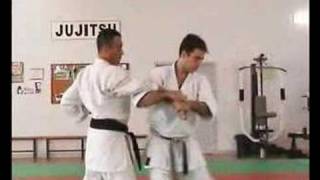 bunkai heian shodan [upl. by Ecirtaeb]