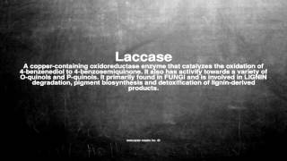 Medical vocabulary What does Laccase mean [upl. by Elletnuahc]