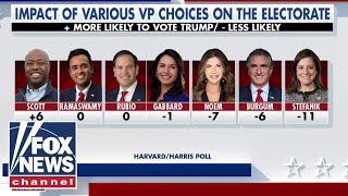 Poll shows one clear leader in Trump VP race [upl. by Anelec]