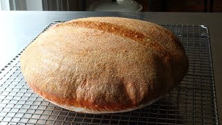 Sourdough Bread  Part 1 The Starter [upl. by Arym219]