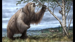 Megatherium The Giant Sloth facts science iceage cenozoic shortvideo prehistoric sloth [upl. by Gavrah]