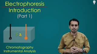 Electrophoresis Part 1 Introduction Principle Factors and Types [upl. by Aehtrod]